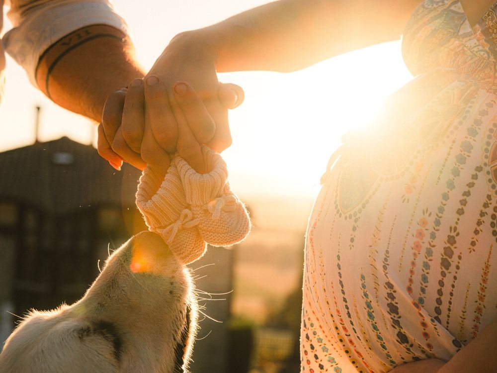 Manos de la pareja sosteniendo unos patucos de bebé, con el hocico de su perro y la barriga al atardecer